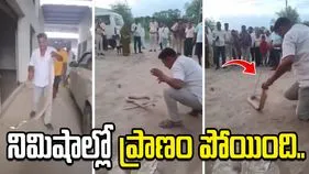 నాగుపాముతో ఆటలాడాడు.. నిమిషాల్లో ప్రాణం పోయింది.. 