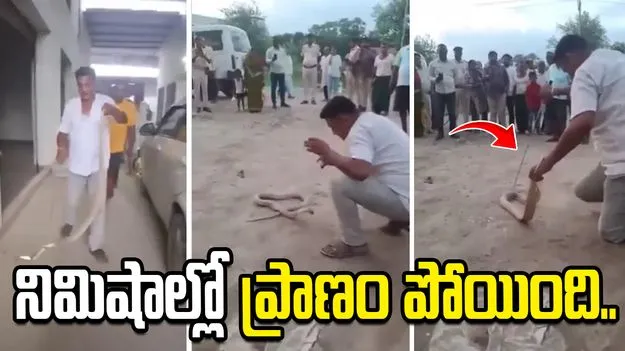 నాగుపాముతో ఆటలాడాడు.. నిమిషాల్లో ప్రాణం పోయింది.. 