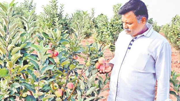 ప్రయోగాలే ఆయన విజయం!