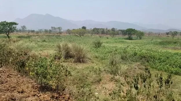 కడివేడు భూములపై విచారణ