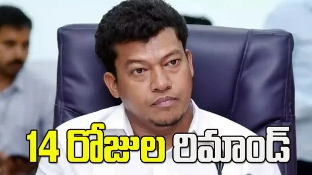 మాజీ మంత్రి సీదిరి అప్పలరాజుకు 14 రోజుల రిమాండ్‌ 