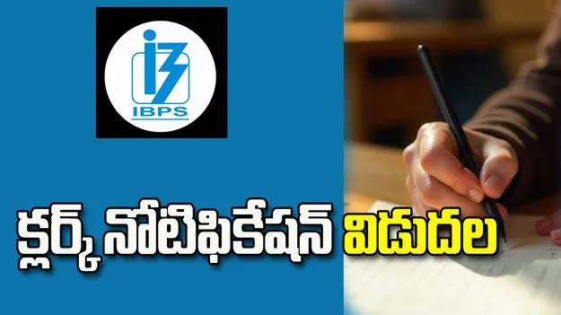 IBPS క్లర్క్ నోటిఫికేషన్ విడుదల.. 11 వేలకుపైగా పోస్టులు