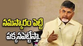 పనిచేయకపోతే నమస్కారం పెట్టి పక్కనపెట్టేస్తా.. ఎమ్మెల్యేలతో సీఎం చంద్రబాబు