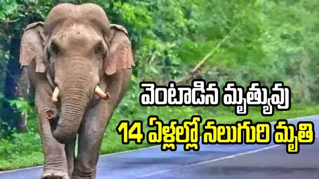 వెంటాడిన మృత్యువు.. 14 ఏళ్లల్లో ఒకే కుటుంబంలోని నలుగురి దుర్మరణం