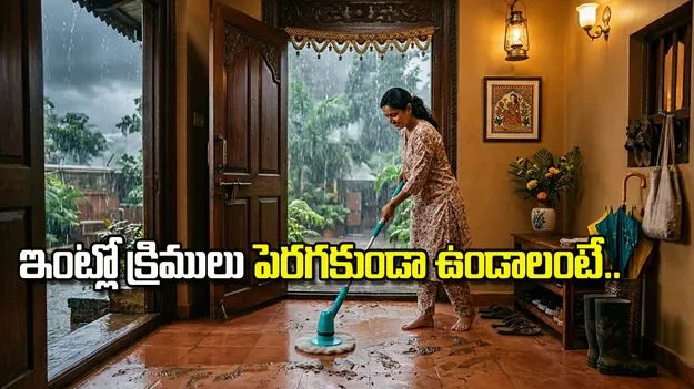వర్షాకాలంలో ఇంట్లో క్రిములు పెరగకుండా ఉండాలంటే.. ఈ చిట్కాలు పాటించండి!