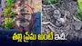 పిల్లల కోసం ట్రాక్టర్‌కు ఎదురు నిలిచిన పక్షి.. వైరల్ వీడియోకు ఫిదా అవుతున్న నెటిజన్లు..