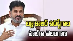 తెలంగాణ రైజింగ్ విజన్‌కు ప్రపంచ దిగ్గజ కంపెనీల మద్దతు: సీఎం రేవంత్ రెడ్డి