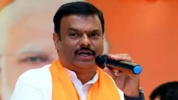 అమరావతికి కేంద్రం అండ: మాధవ్‌ 