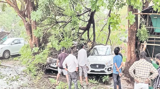 కోస్తాలో పిడుగుల బీభత్సం
