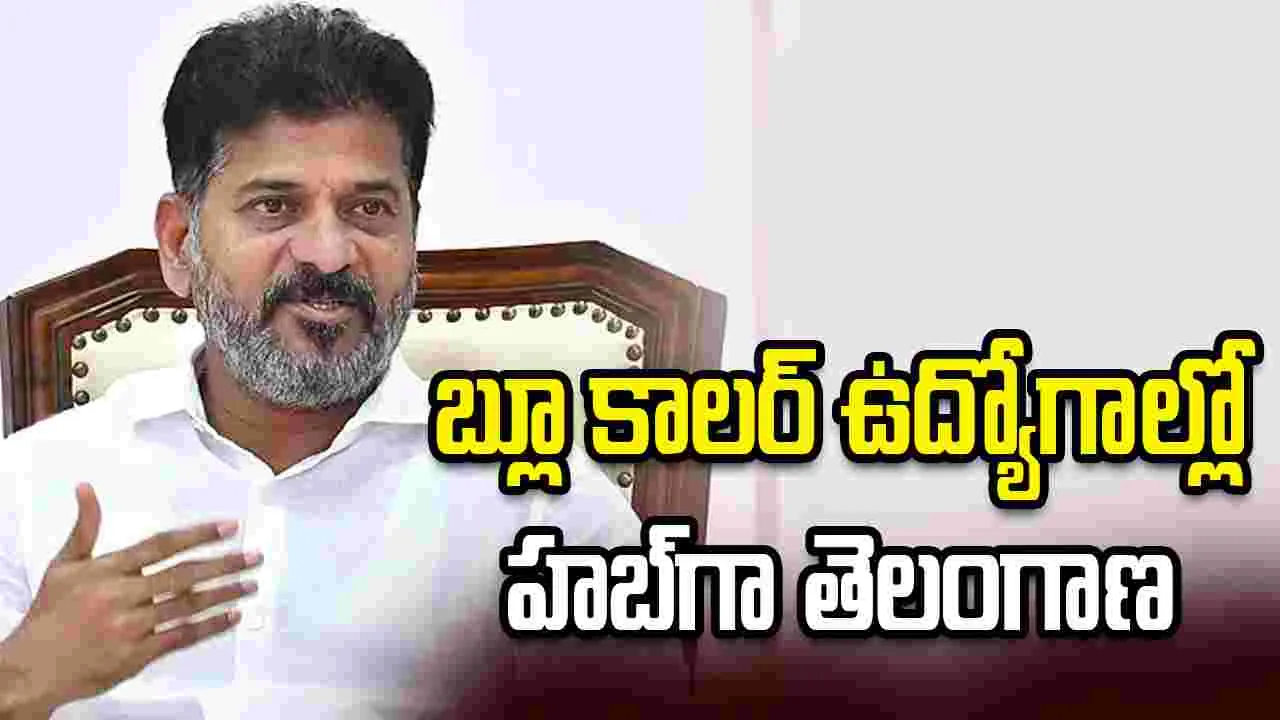 తెలంగాణ రైజింగ్ విజన్ కు ప్రపంచ దిగ్గజ కంపెనీల మద్దతు