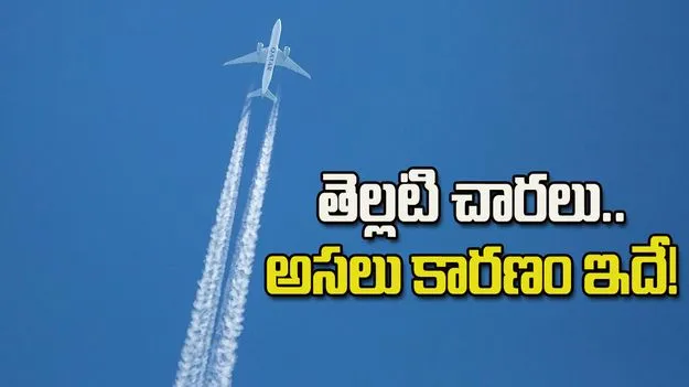 ఈ తెల్లటి చారల రహస్యం మీకు తెలుసా?