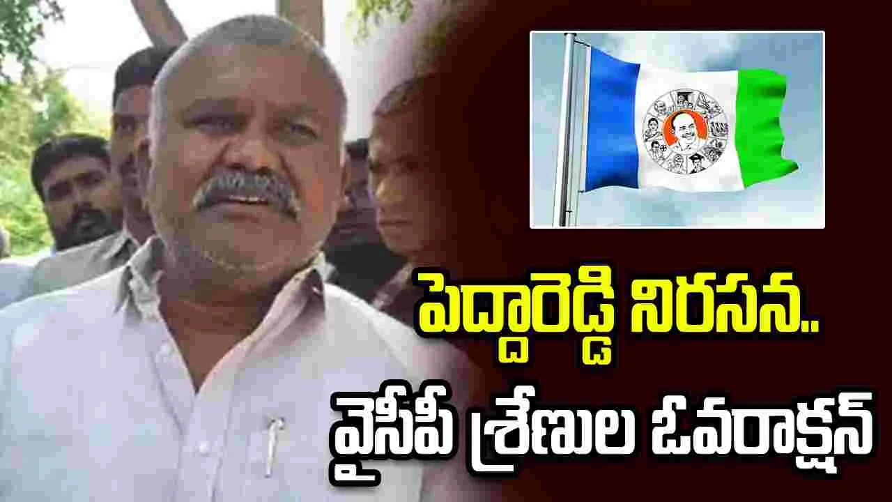 తాడిపత్రిలో కేతిరెడ్డి పెద్దారెడ్డి నిరసన.. వైసీపీ శ్రేణుల ఓవరాక్షన్