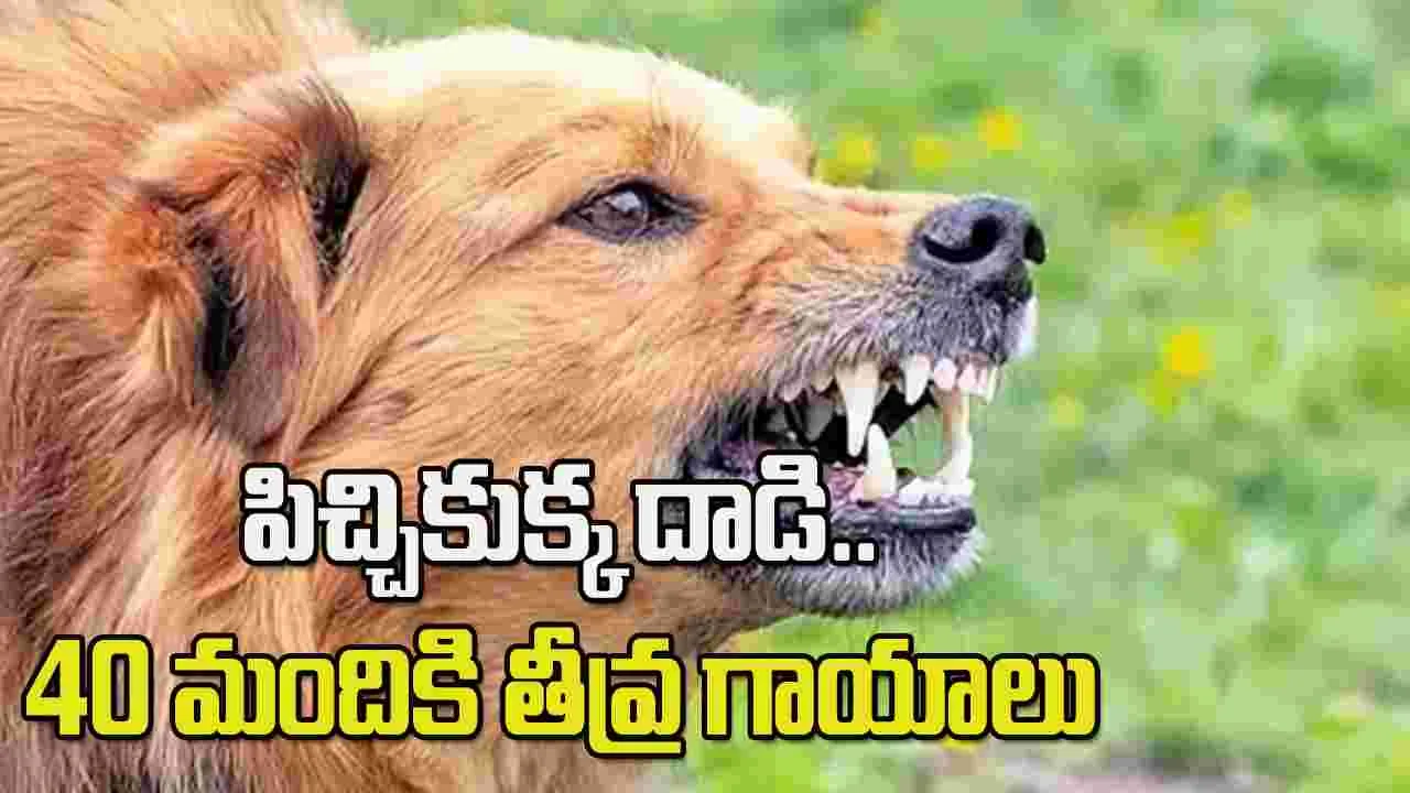 పిచ్చికుక్క దాడిలో 40 మందికి తీవ్ర గాయాలు