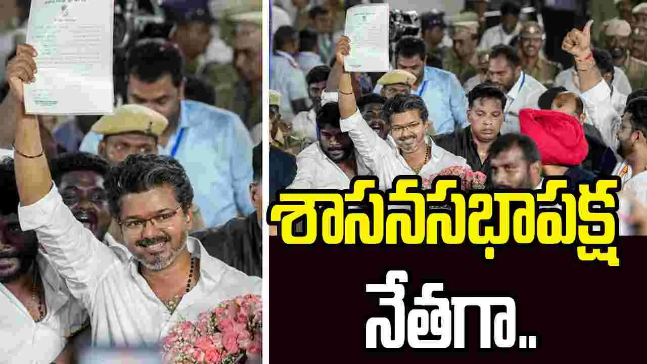 టీవీకే లెజిస్లేచర్ పార్టీ నేతగా విజయ్ ఎన్నిక