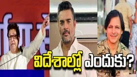 భారత్‌పై అంత ప్రేమ ఉంటే.. దుబాయ్‌లో ఎందుకు.. వివేక్, మాధవన్‌పై రాజ్ ఠాక్రే విమర్శలు