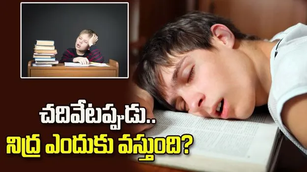 చదివేటప్పుడు నిద్ర ఎందుకు వస్తుందో తెలుసా?