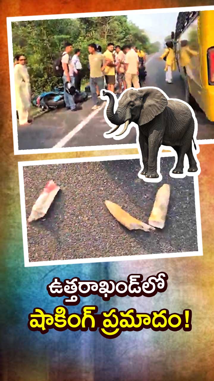ABN Andhrajyothy Telugu Short News Video - Quick News Updates in 60 Seconds