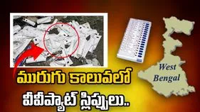 ఓట్ల లెక్కింపు వేళ.. మురుగు కాలువలో వీవీప్యాట్ స్లిప్పులు.. స్పందించిన ఈసీ