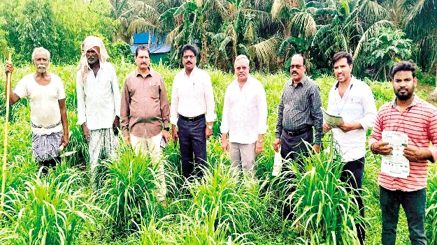 పీఎండీఎస్‌తో ఏకకాలంలో బహుళ పంటలు