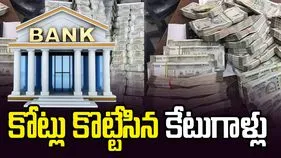 ఆ ప్రైవేట్ బ్యాంక్‌ బ్రాంచ్‌ల్లో రూ.కోట్లలో కుచ్చుటోపీ పెట్టిన కేటుగాళ్లు