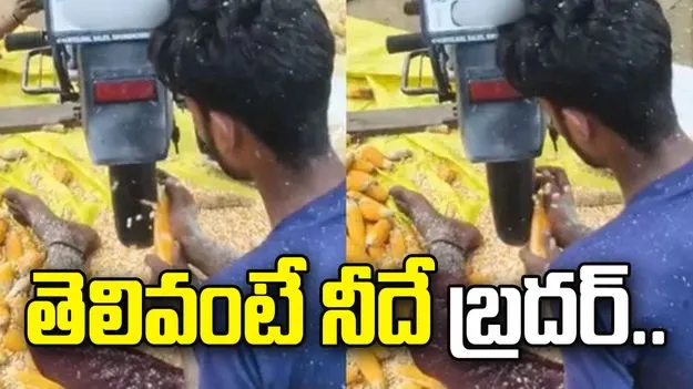 తెలివంటే నీదే బ్రదర్.. యువకుడు చేసిన పనికి నెటిజన్లు ఫిదా.. 