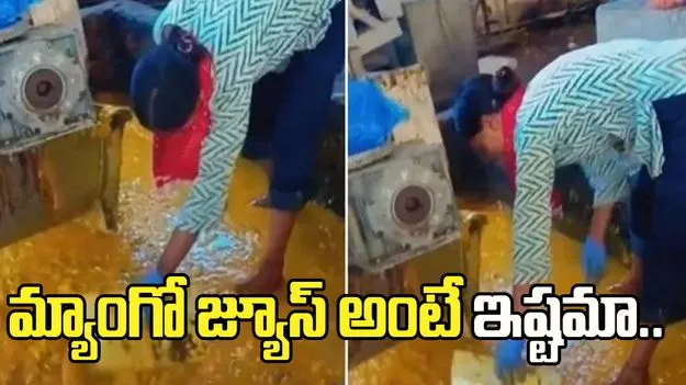 మీకు మ్యాంగో జ్యూస్ అంటే ఇష్టమా.. ఈ వీడియో చూస్తే ఇకపై ఎప్పుడూ తాగరేమో.. 