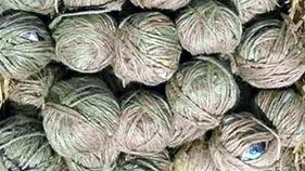 వనపర్తి జిల్లా గోవర్ధన్‌గిరిలో నాటు బాంబుల కలకలం..