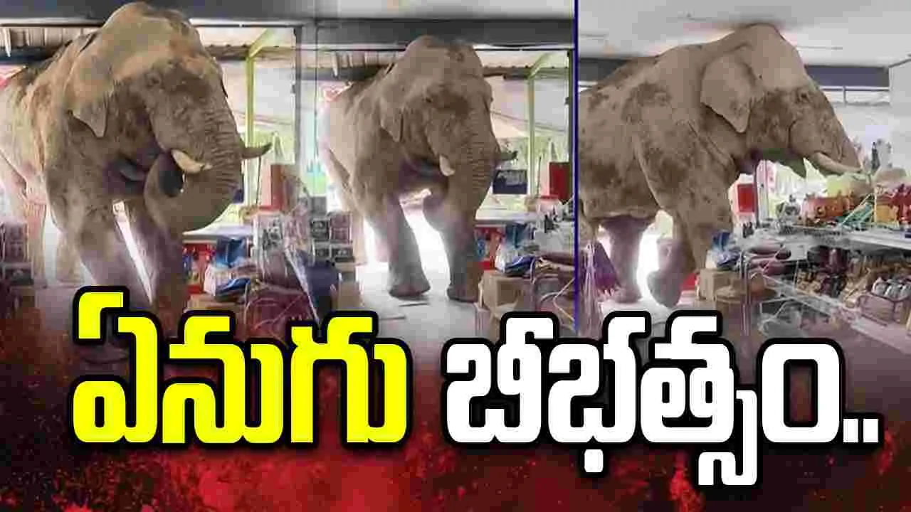 దుకాణంలోకి చొరబడ్డ ఏనుగు.. భయంతో పరుగులు తీసిన కస్టమర్లు..