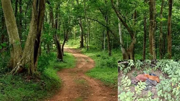 హెచ్‌ఐవీ సోకిందని మహిళను అడవిలో వదిలేసిన కుటుంబసభ్యులు!