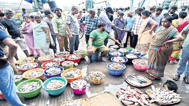  వలలు నిండుతున్నాయ్‌!