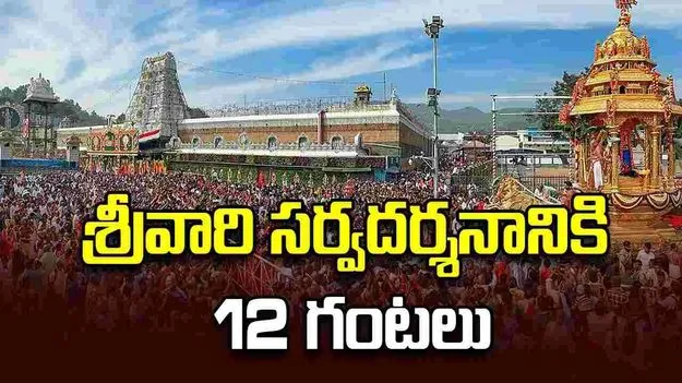 వేంకటేశ్వరస్వామి సర్వదర్శనానికి 12 గంటలు