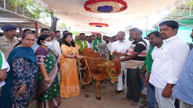 భక్తుల విశ్వాసానికి ప్రతీక కోడె మొక్కు