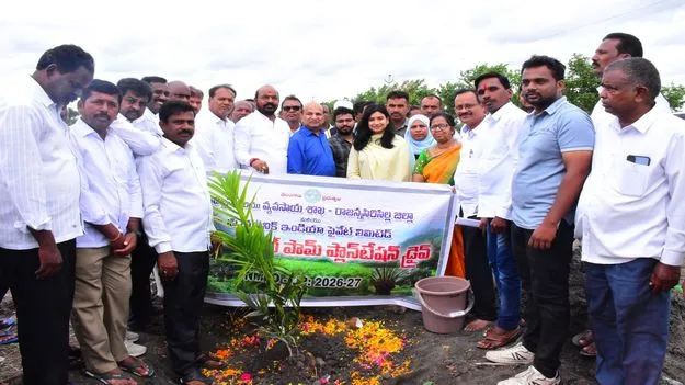 ఆయిల్‌పామ్‌ సాగుతో దీర్ఘకాలిక ఆదాయం