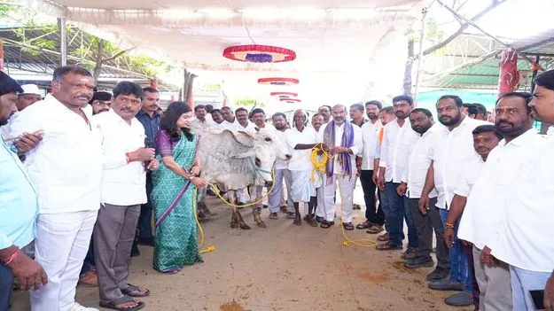 పారదర్శకంగా రైతులకు రాజన్న కోడెల పంపిణీ