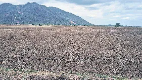 ఆర్‌ఈఎంజడ్‌ ఏర్పాటుకు తొలి అడుగు
