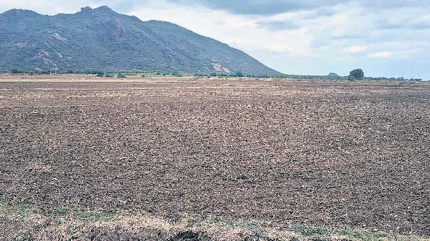 ఆర్‌ఈఎంజడ్‌ ఏర్పాటుకు తొలి అడుగు