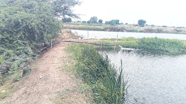 చేపల చెరువులకు భవనాసి నీరు