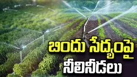 బిందు సేద్యంపై నీలినీడలు