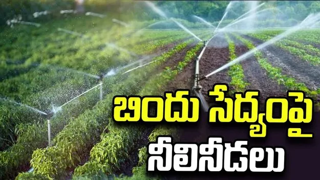 బిందు సేద్యంపై నీలినీడలు
