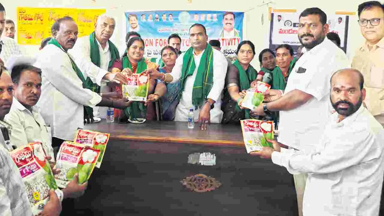 మెట్ట పంటల సాగుకు ప్రాధాన్యం ఇవ్వాలి