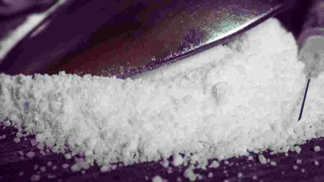 హైదరాబాద్‌లో భారీగా డ్రగ్స్ సీజ్..