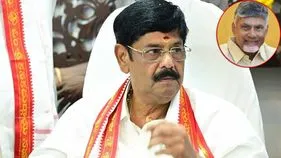 చంద్రబాబు ఎలాంటి విజ్ఞాలు లేకుండా ముందుకు సాగాలి: మంత్రి ఆనం 
