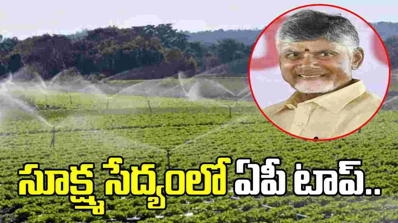 సూక్ష్మ సేద్యంలో ఏపీ టాప్.. అధికారులకు సీఎం అభినందనలు