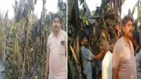 అరటి తోటలో అగ్ని ప్రమాదం.. రూ.10 లక్షల ఆస్తి నష్టం