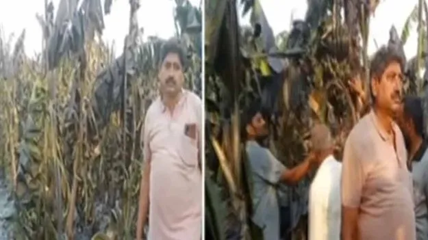అరటి తోటలో అగ్ని ప్రమాదం.. రూ.10 లక్షల ఆస్తి నష్టం