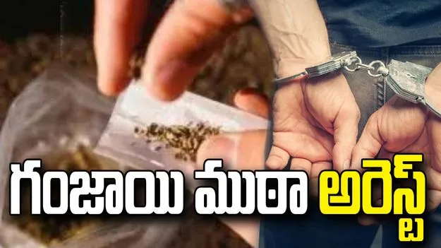 హైదరాబాద్‌లో గంజాయి ముఠా అరెస్ట్.. 39 కిలోల గంజాయి సీజ్