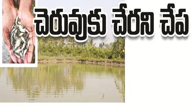 kumaram bheem asifabad- చెరువుకు చేరని చేప