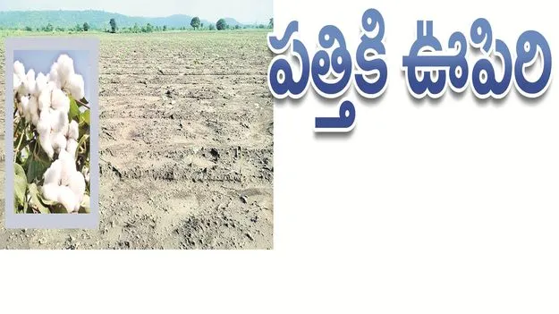 kumaram bheem asifabad- పత్తికి ఊపిరి