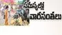 kumaram bheem asifabad-సమస్యల్లో వారసంతలు