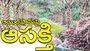 ఆయిల్‌పామ్‌పై ఆసక్తి 